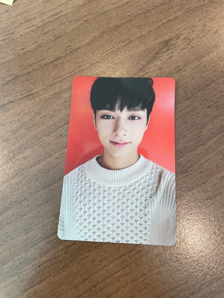 고잉 세븐틴 앨범 포카 사진 2