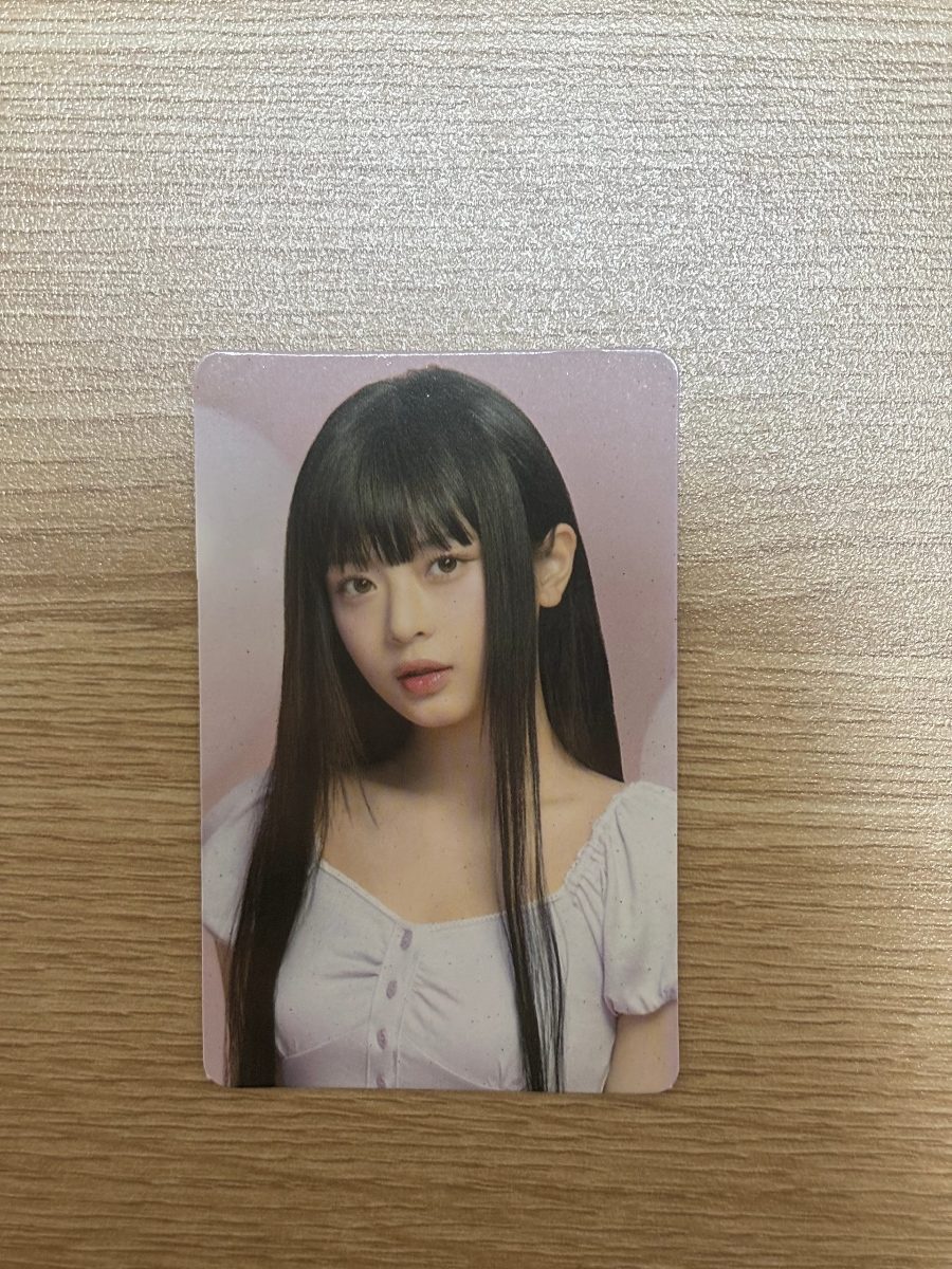 안농 사진 4
