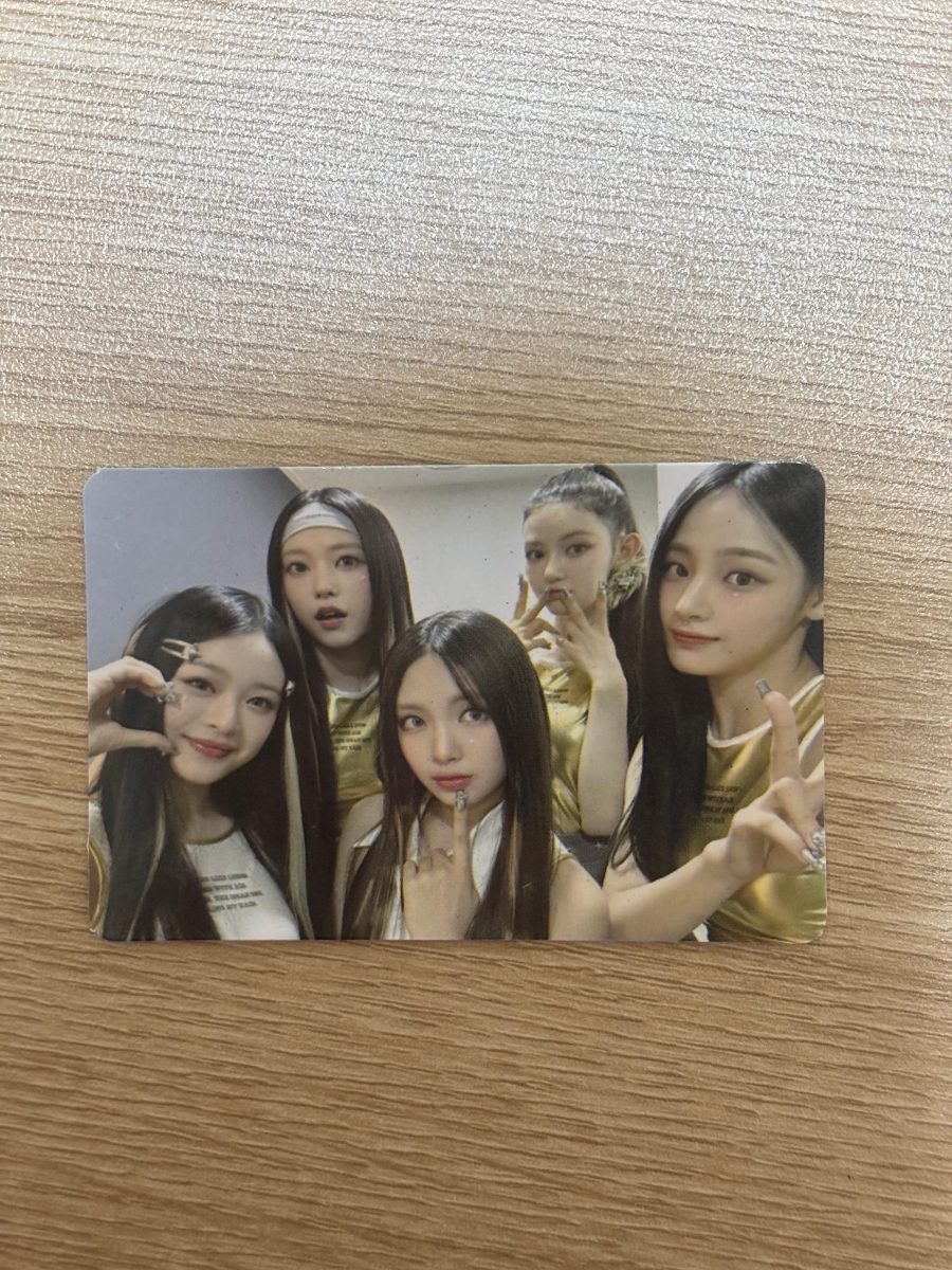 안농 사진 5