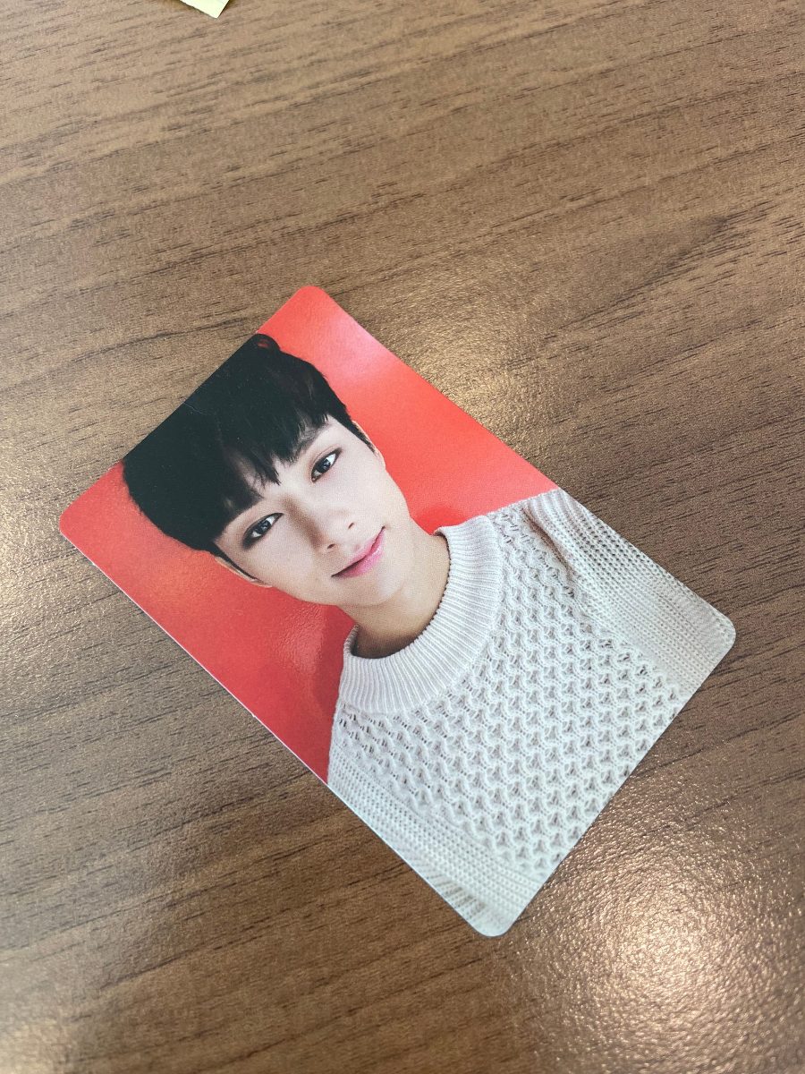 고잉 세븐틴 앨범 포카 사진 3